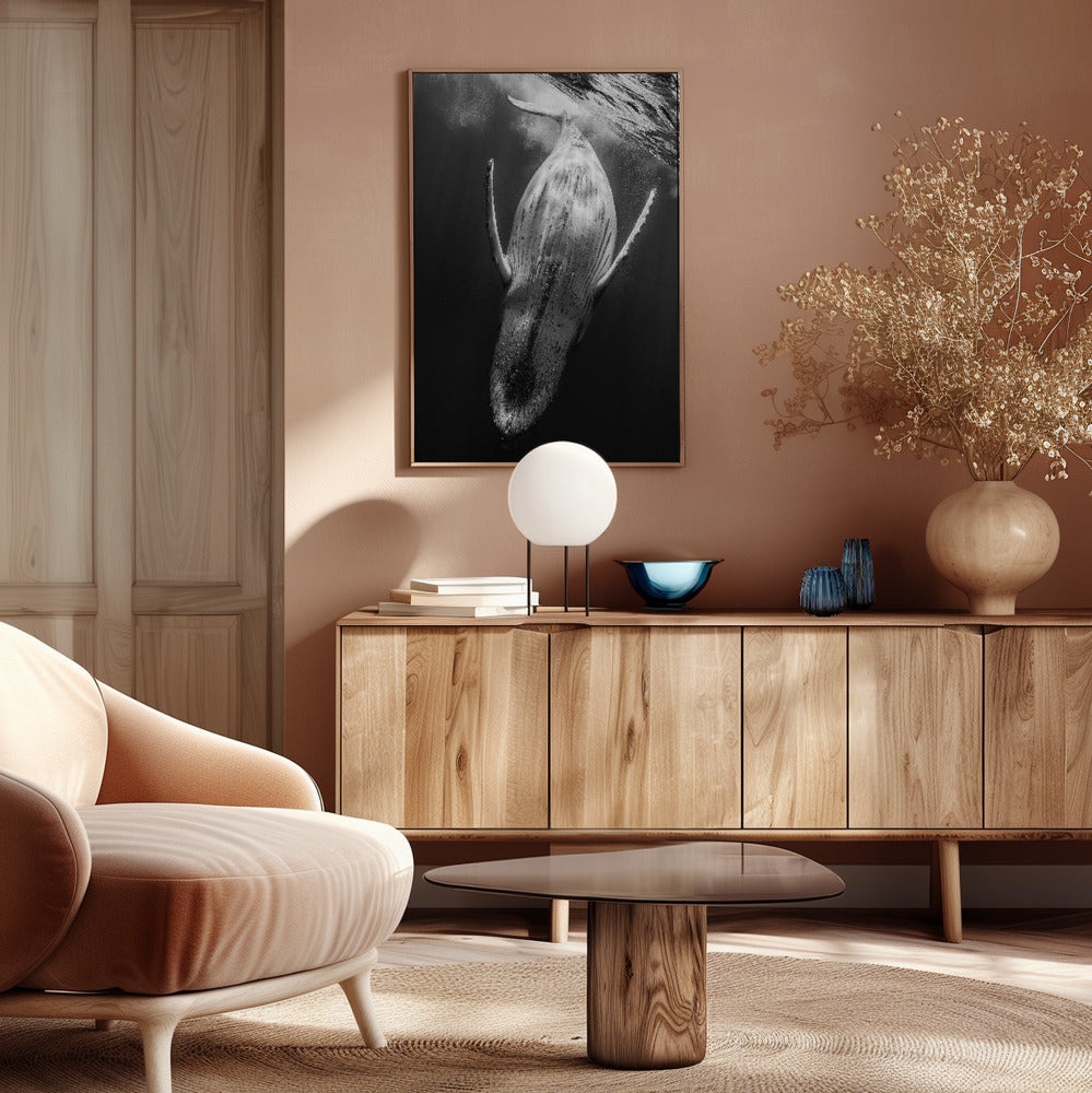 Black & Whale Poster